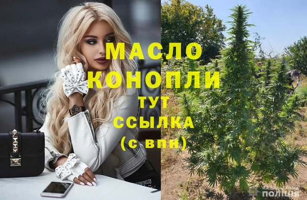 гашик Алексеевка