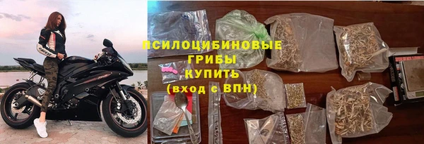 дурь Алзамай