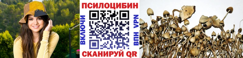 Галлюциногенные грибы мухоморы  купить наркотик  Лихославль 